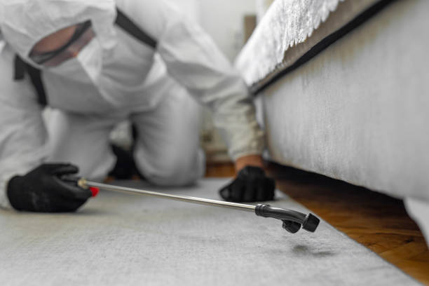 Professional Bed Bug Control technician working in Cambridge, MA