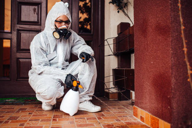 Reliable Bed Bug Control contractor in Cambridge, MA by Nex Pest Control
